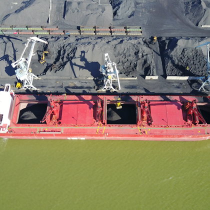 Birstošo kravu iekraušana