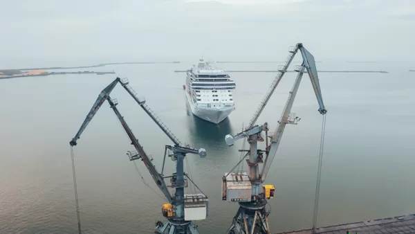 Cranes